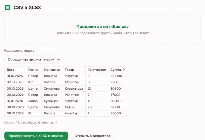 CSV в Excel — выгрузка продаж: первые строки и выбор кодировки